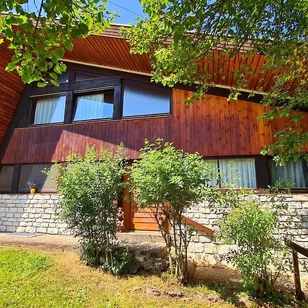 Holiday home Waldblick *